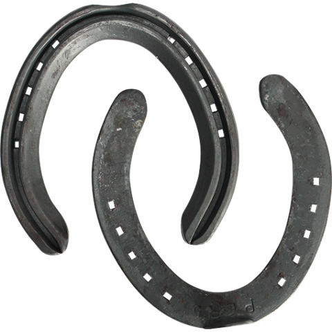 O'Dwyer Performa Hinds, Toe-Clipped